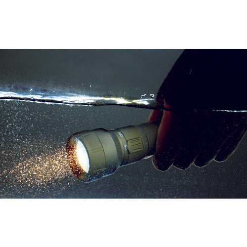 TRUSCO Rechargeable Waterproof LED Light NUDA 320 Lumens OD Color TLWN-320-OD 1 pc