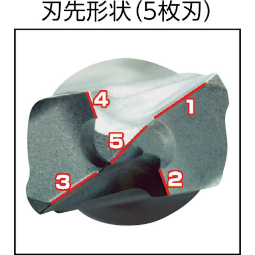 サンコー　テクノ　パワーＳＤＳ　ＰＷＬタイプ　刃径１０ｍｍ　PWL-10.0X165P　1 本