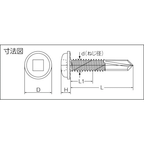 コノエ　ドリルねじ“エースポイント”（スチール）　APW5019L　1 PK