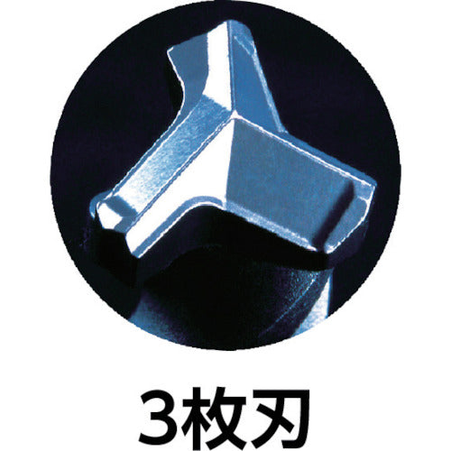 Miyanaga Deltagon Bit SDS Plus Screw Type Φ12.5 x 116mm DLSDS12511 1 piece