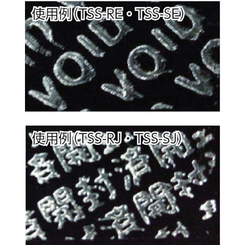 ＴＲＵＳＣＯ　セキュリティシール　長方形　英字　１００枚１組　TSS-SE　1 組