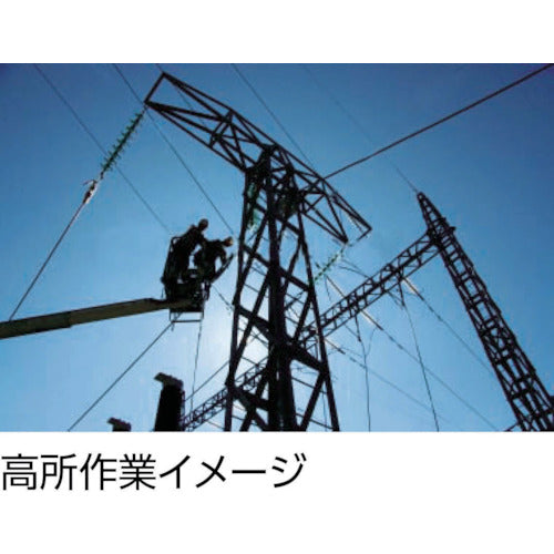 ＷＩＬＬＩＡＭＳ　高所用ユーティリティスーパージョイントプライヤー　２５０ｍｍ　PL-1520C-TH　1 丁