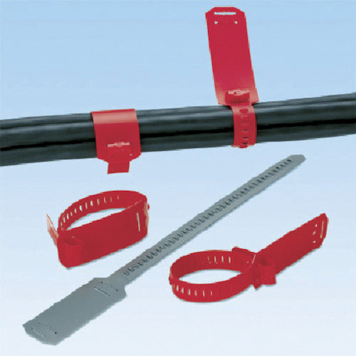 PANDUIT Cable Ties with Marker Straps, Red (50 pieces) CM4S-L2 1 bag