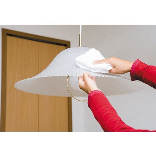 SOFT99 Plastic Cleaner 43g 20505 1 piece