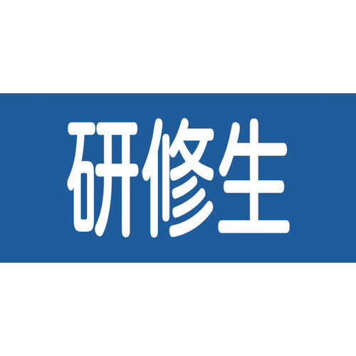 緑十字　ピンレスゴム腕章　研修生　ＧＷ−１３Ｓ　９５ｍｍ幅×腕まわり３００ｍｍ　Ｓサイズ　139813　1 枚