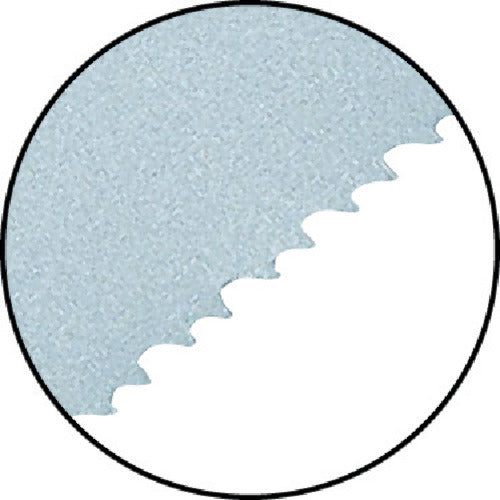 모토 유키 세이버 소 교체 블레이드 세이버 톱 블레이드 글로벌 톱 발리 길레 중후 방향 전체 길이 300mm TA-30148 1 PK