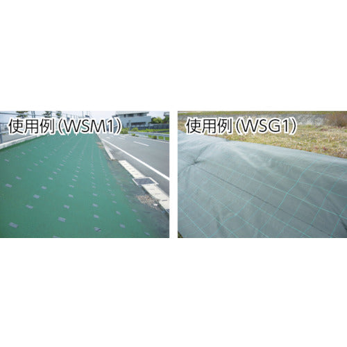 ＡＯＩ　防草シートウィードシート用ピン　PIN　1 本