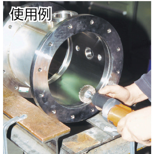 ＬＥＳＳＭＡＮＮ　軸付ホイルブラシ　鋼線　０．３　φ３０　413162　1 個