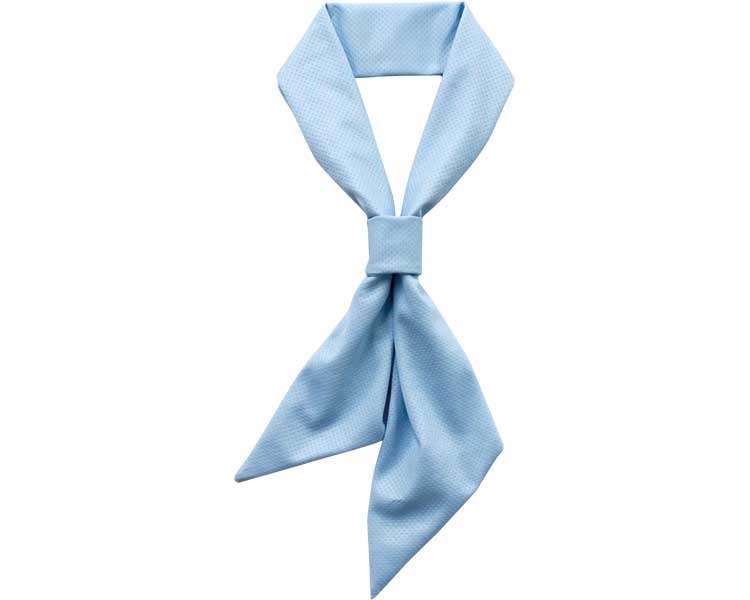 ひんやりスカーフ / 4008883-05　ブルー　1 枚