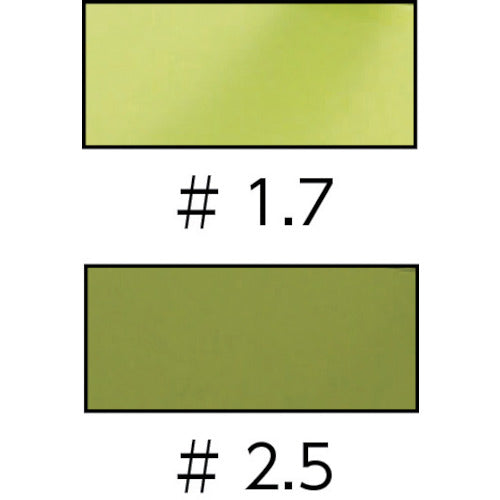 TRUSCO Anti-fog Sun-shielding Glasses #1.7 TPK200-17 1 pc