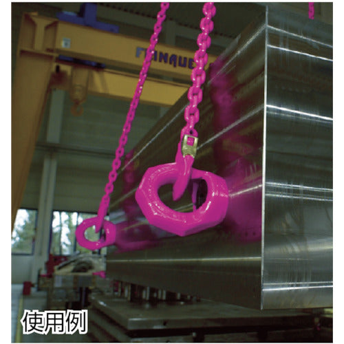 RUD Star Point VRS-F-M42 VRS-F-M42 1 piece