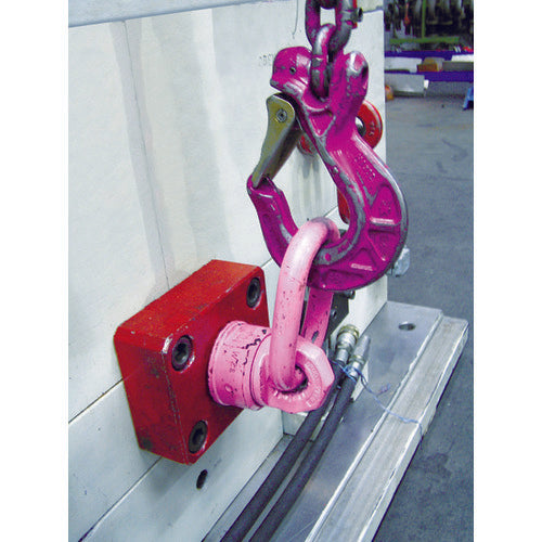 RUD Vario Ring VWBG-M10 VWBG-M10 1 piece