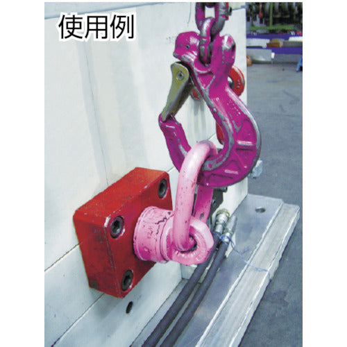 RUD 바리올링 VWBG-M16 VWBG-M16 1개