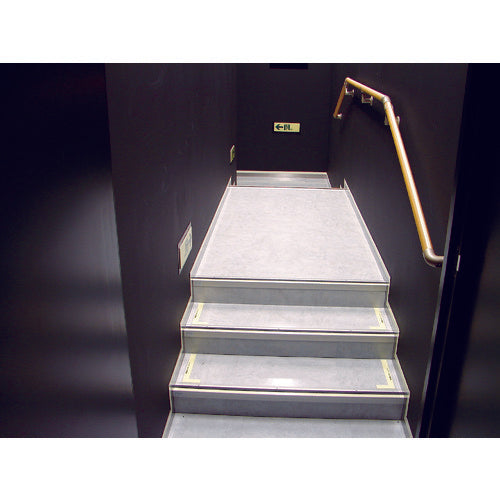 TRUSCO Medium Brightness Luminous Tape 25mm x 10m TCTT25X10 1 Roll