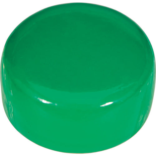 ＴＲＵＳＣＯ　フェライトポリアミド磁石　Φ１８　緑　１個入　TFP18-1-GN　1 個