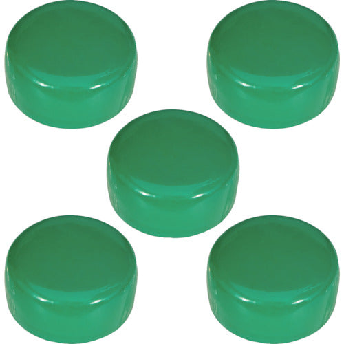 TRUSCO Ferrite Polyamide Magnet Φ18 Green 5 Pieces TFP18-5-GN 1 Bag