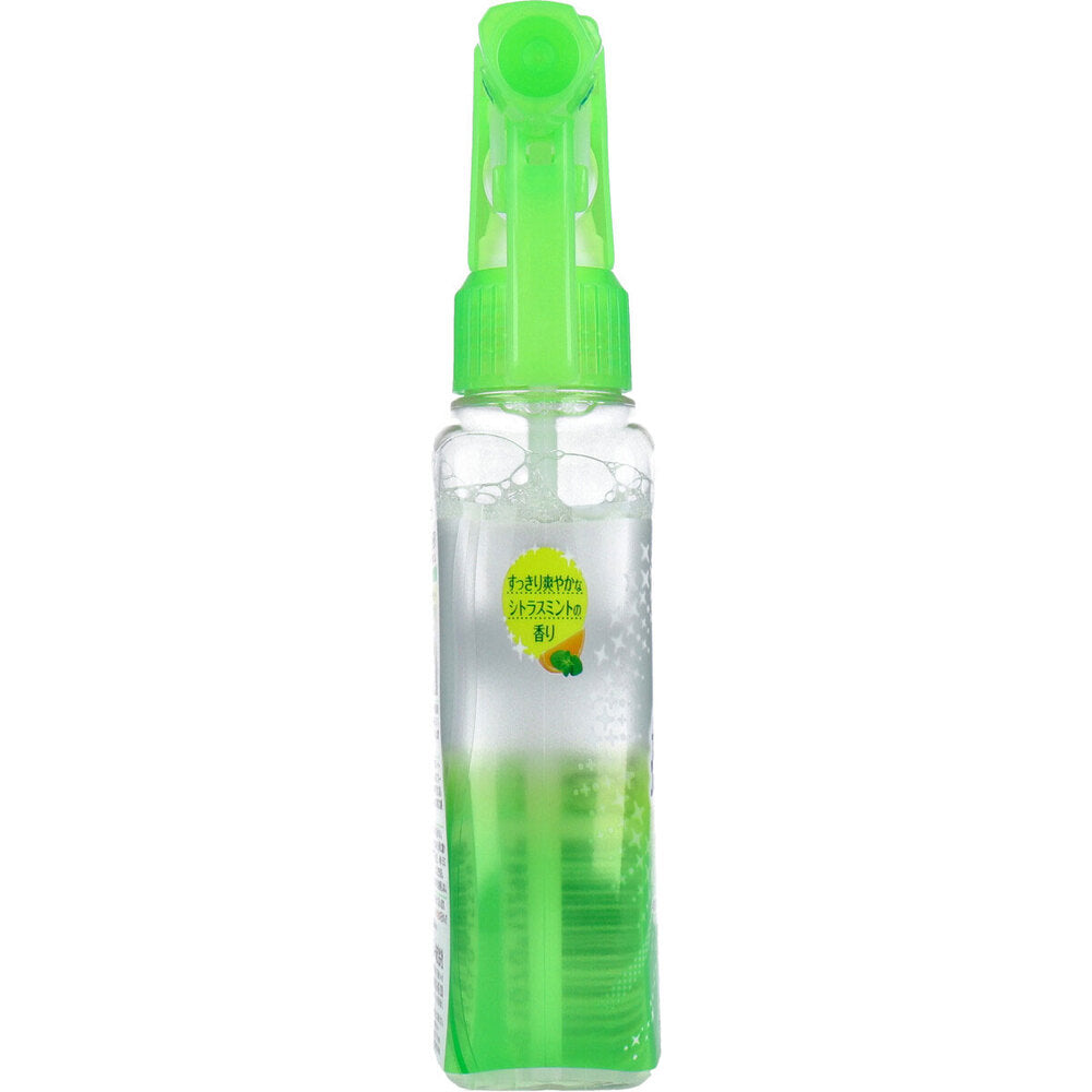 消臭力 生ゴミ用スプレー シトラスミントの香り 200mL 1 個