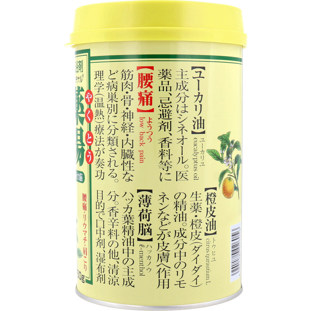 Original Medicinal Bath Salts Mint Brain 750g 1 piece