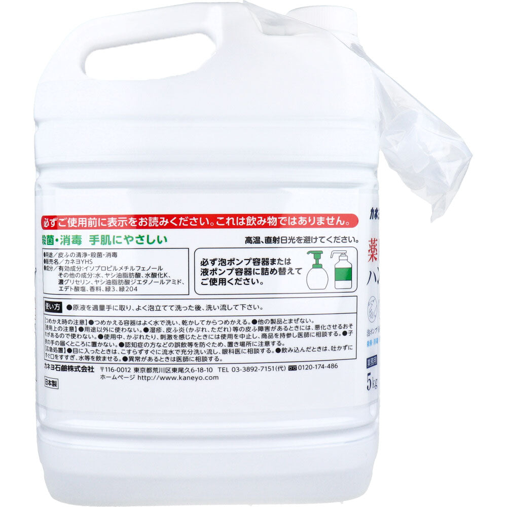 【業務用】薬用ハンドソープ 泡ポンプ・液ポンプ兼用 シトラスの香り 5kg 1 個