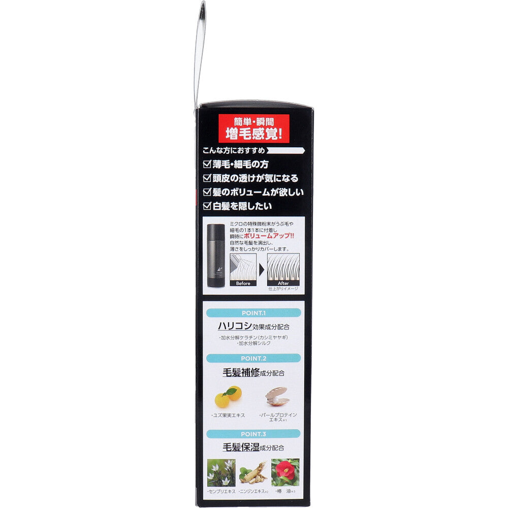 흑염 볼륨 업 헤어 스프레이 블랙 무향료 150g 1개