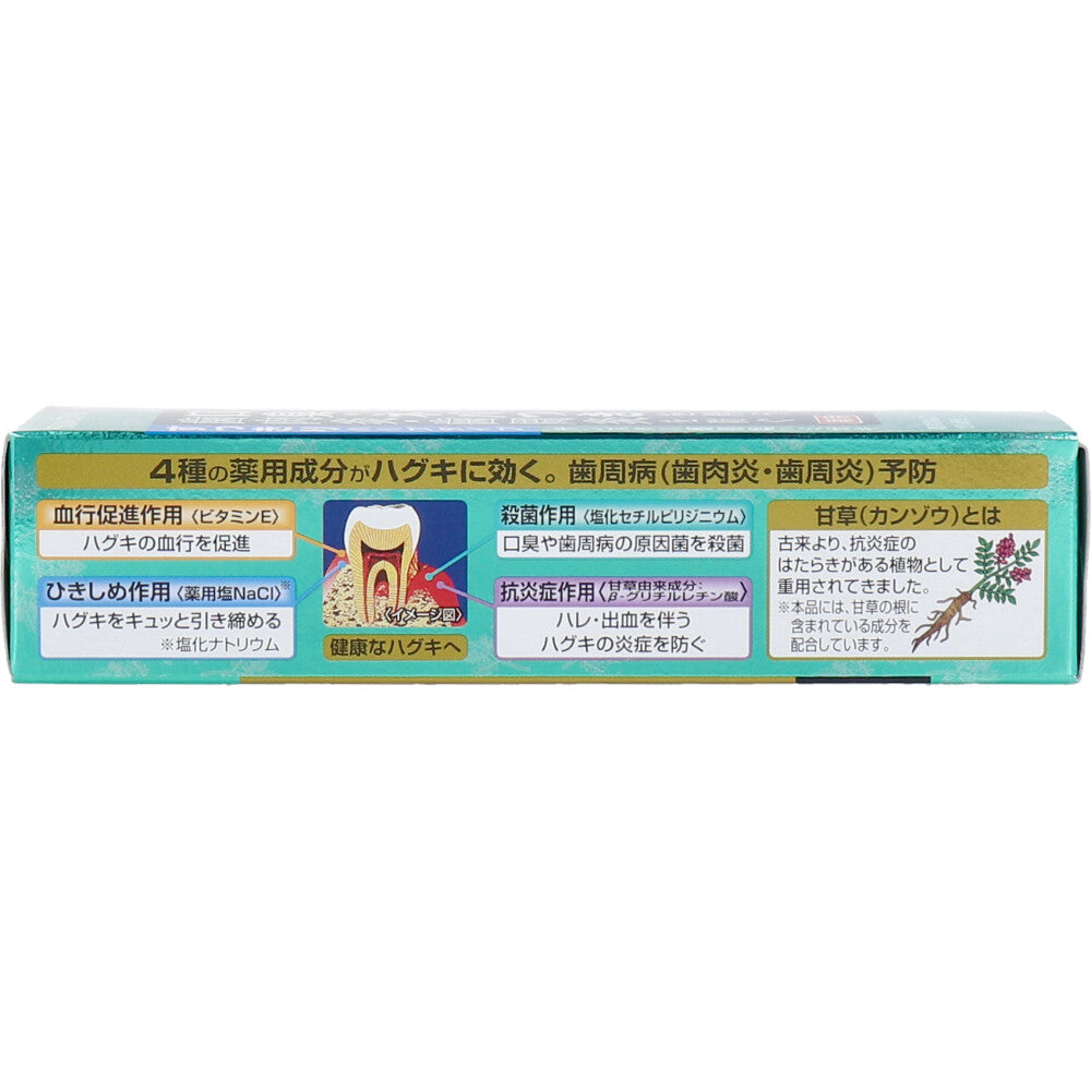 サンスター薬用塩ハミガキ すっきりハーブタイプ 85g 1 個