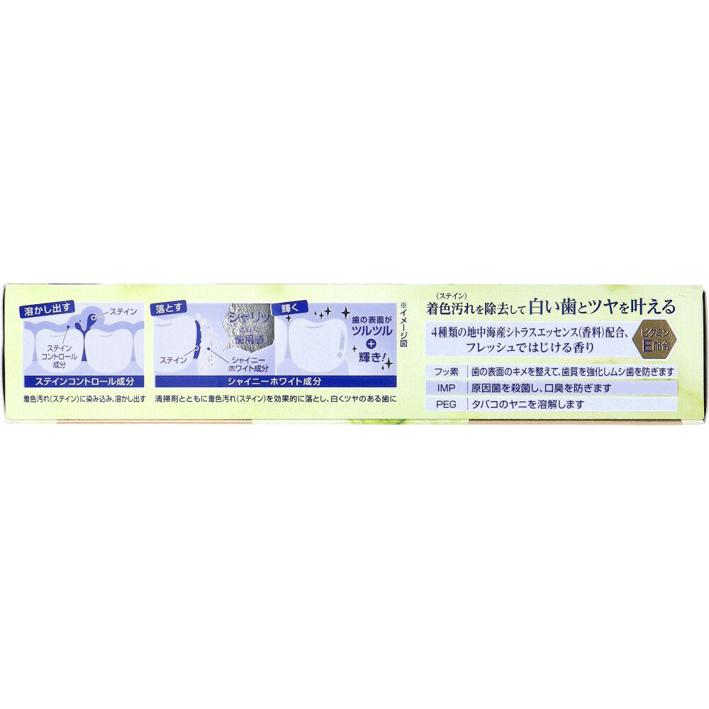 Ora2(オーラツー) プレミアム ステインクリア ペースト シャイニーシトラスミント 100g 1 個