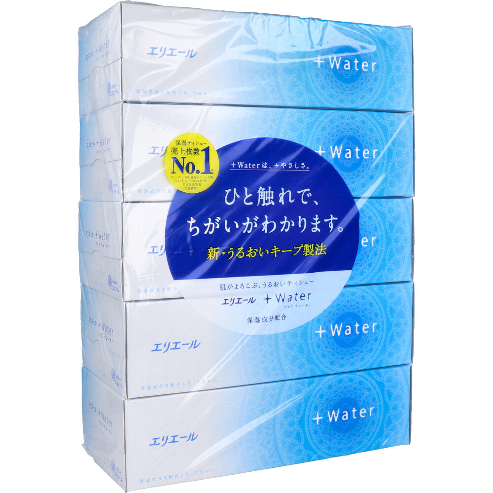 엘리에르 + Water(플러스 워터) 티슈 360장(180조)×5개 팩 1개