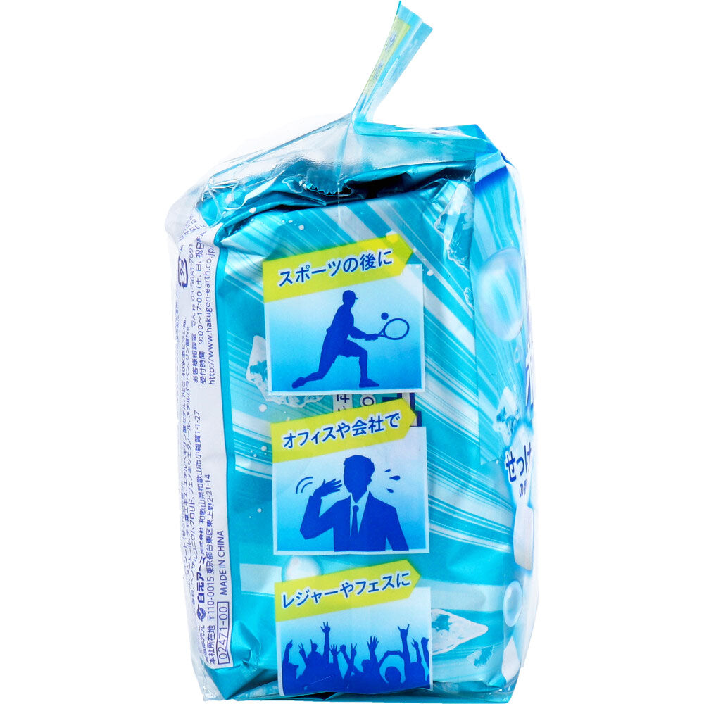 아이스논 극냉 차체 시트 대형 타입 비누의 향기 30장입 1개