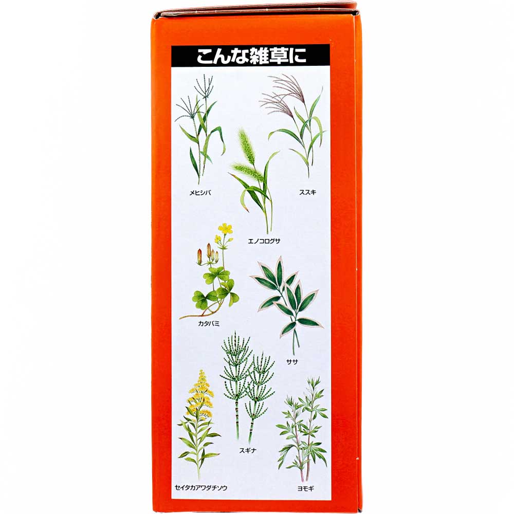 【農薬】カダン 除草王シリーズ オールキラー粒剤 3kg 1 個