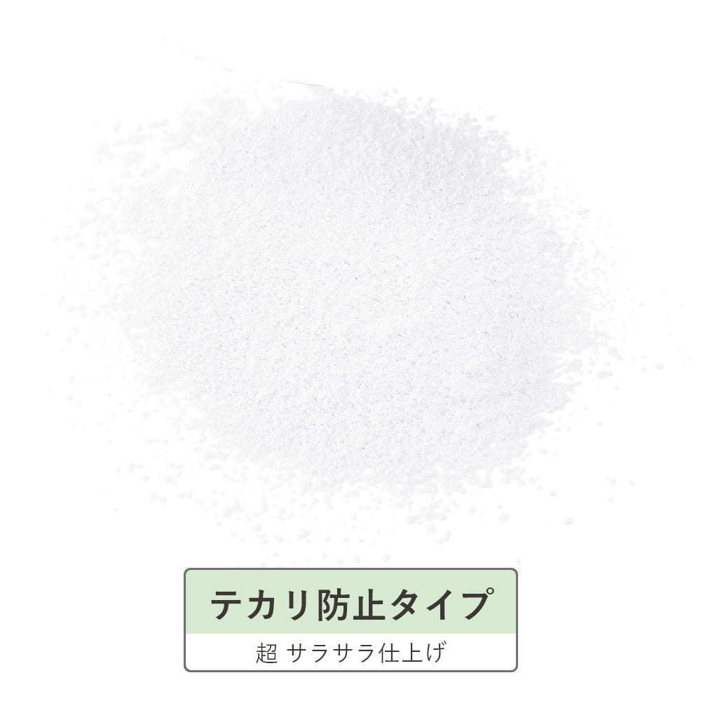 モイストラボ ルースパウダー テカリ防止タイプ 1 個