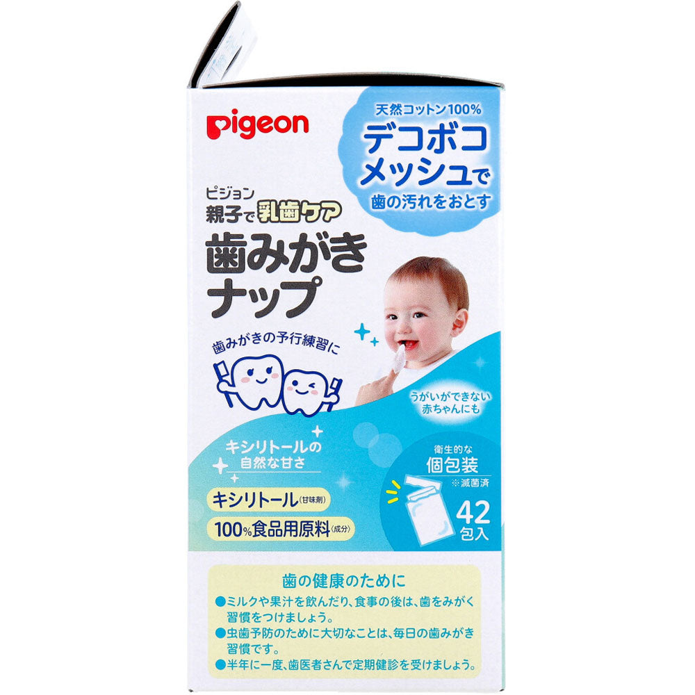 비둘기 부모와 자식으로 유치 케어 칫솔질 냅개