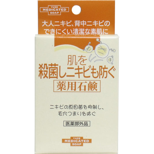 肌を殺菌しニキビも防ぐ薬用石鹸 110g 1 個