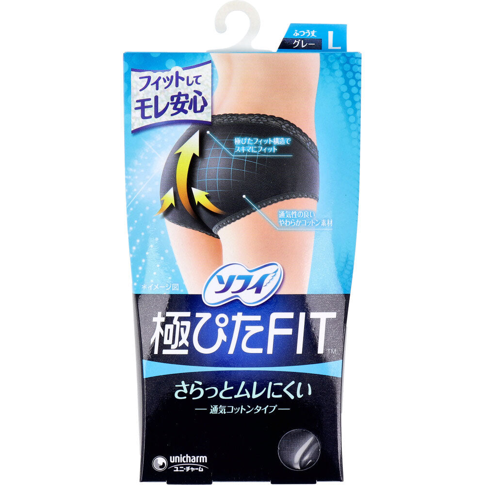 ソフィ 極ぴたFIT 通気コットンタイプ Lサイズ グレー 1枚入 1 個