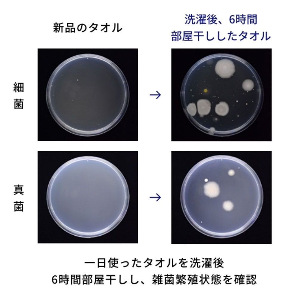 シルコット フェイシャルタオル 素肌おもい 40枚入 1 個