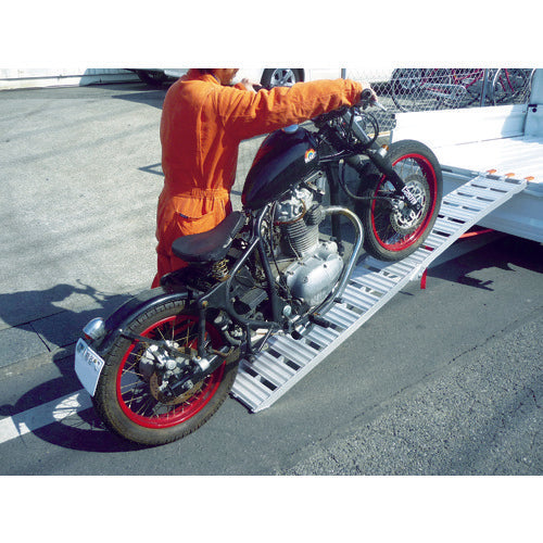 Astro Products Lightweight Aluminum Ladder Flat 1PC 2007000011171 1 unit