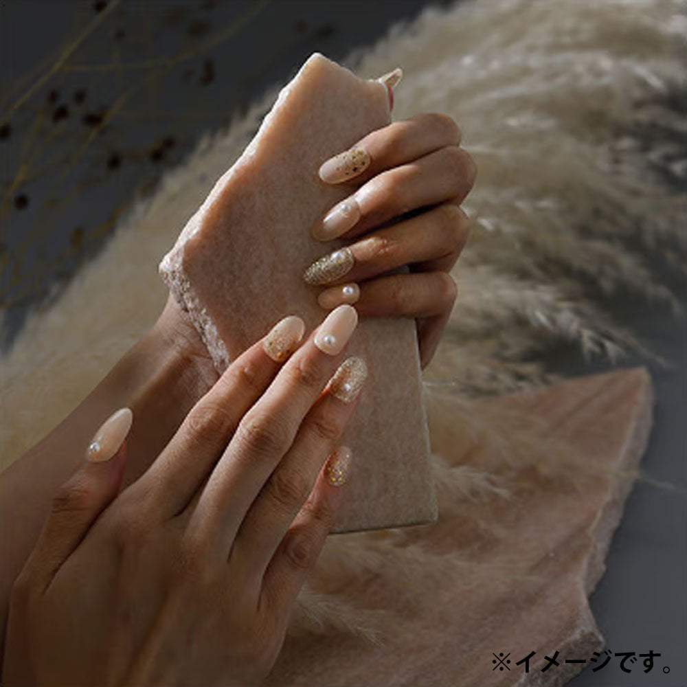 【アウトレット】LYSD'OR リスドール セミキュアジェルネイル ハンドネイル用 ディグニファイド ブリリアンス 24枚入 1 個