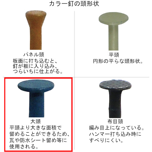 ＤＡＩＤОＨＡＮＴ　ＳＰカラートタン釘５００ｇ　＃１４×３２　新茶　00046828　1 箱