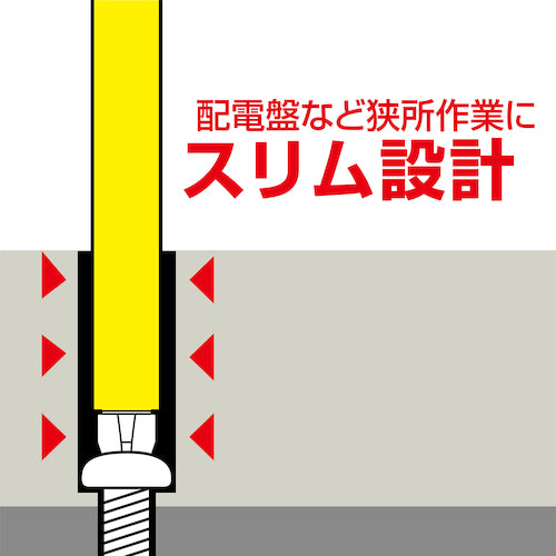 アネックス　スリムチューブカラービット　＋２×１００　ASP1-2100　1 本