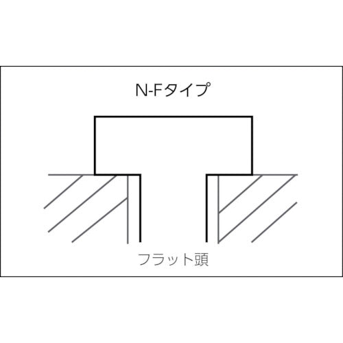 フィッシャー　Ｎハンマーフィックス　Ｎ６×８０／５０Ｆ　（１００本入）　513842　1 箱