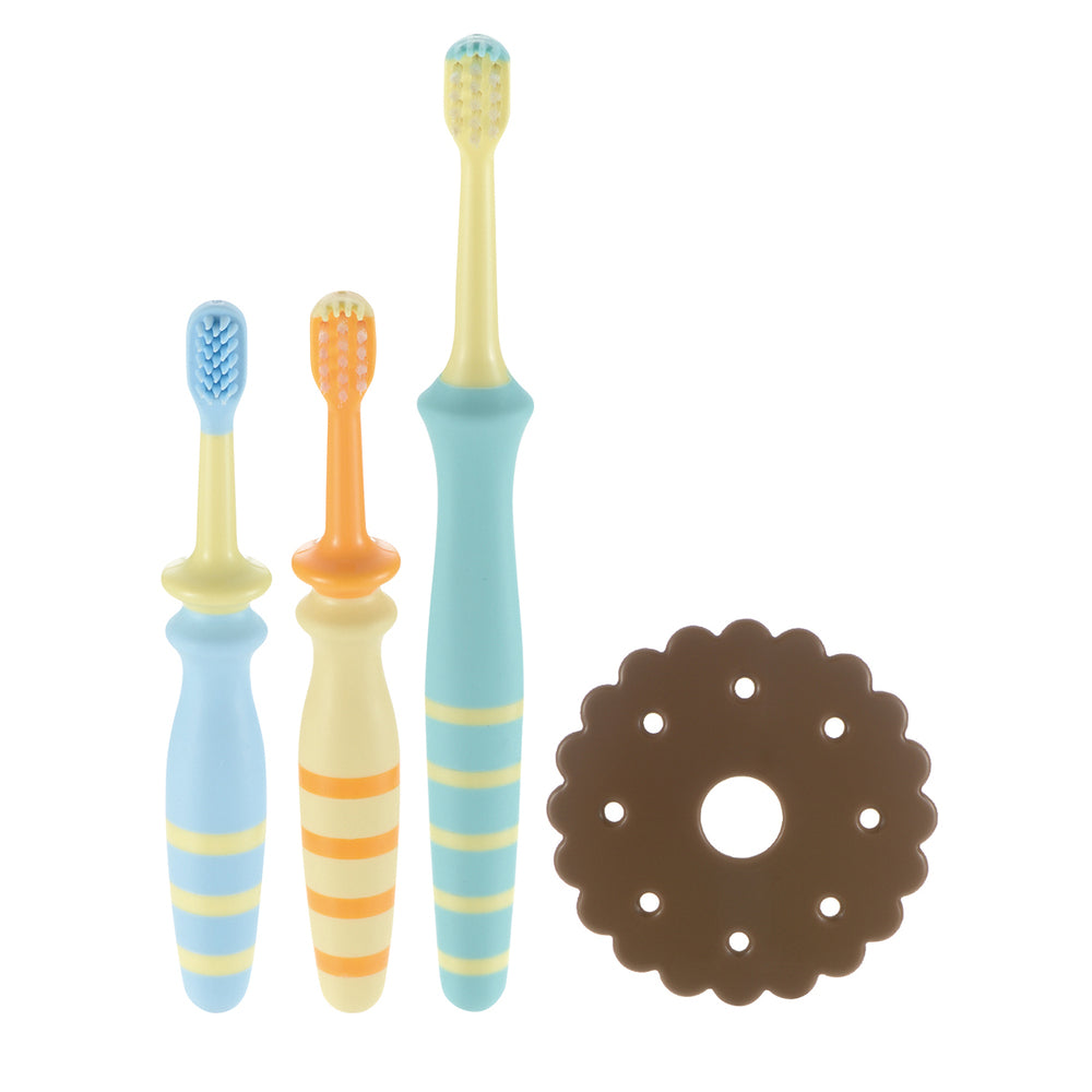 Richell Try Eat and Brush Tooth Set for Molars 1 pc