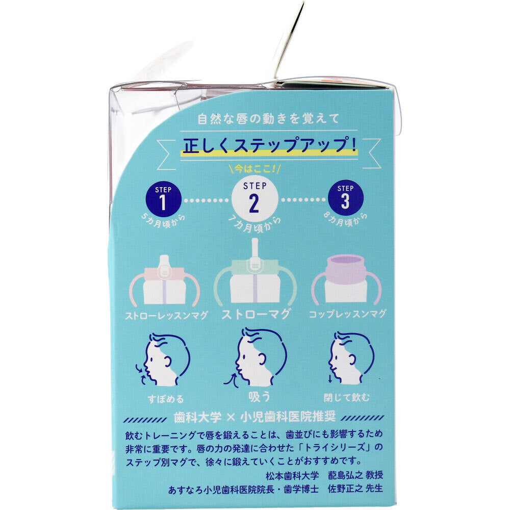 Richell Try Straw Mug SD Gray 1 piece