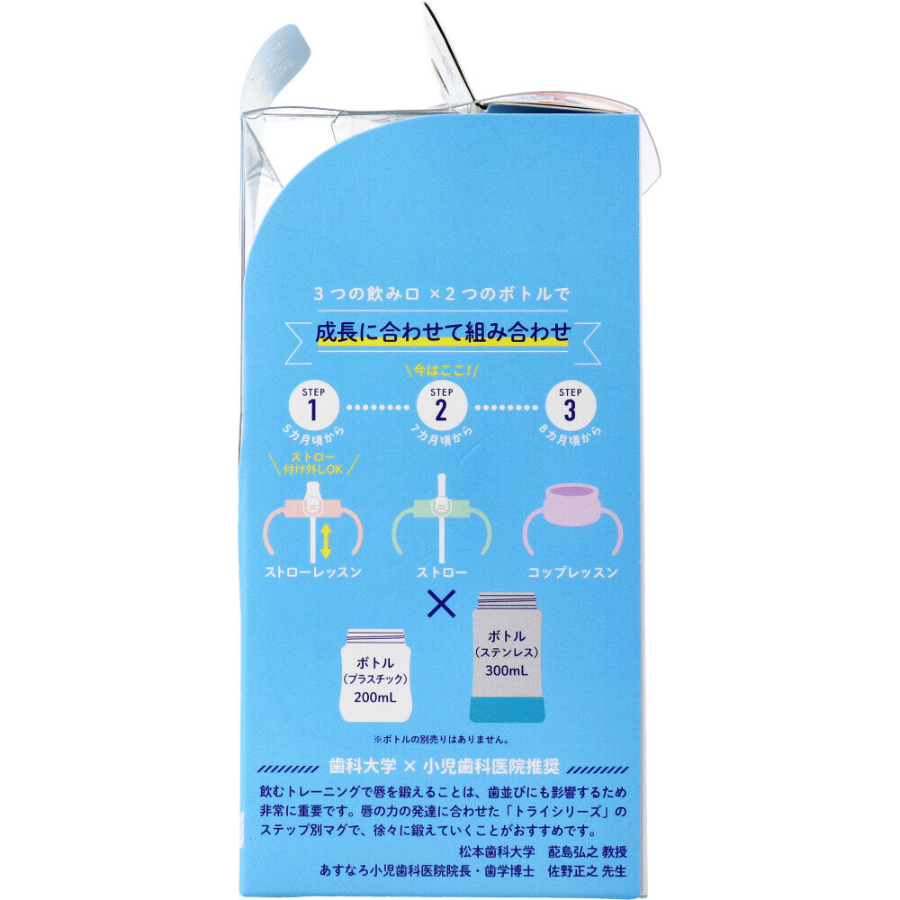 Richell Try Cooling Straw Mug SD Light Gray 1 pc