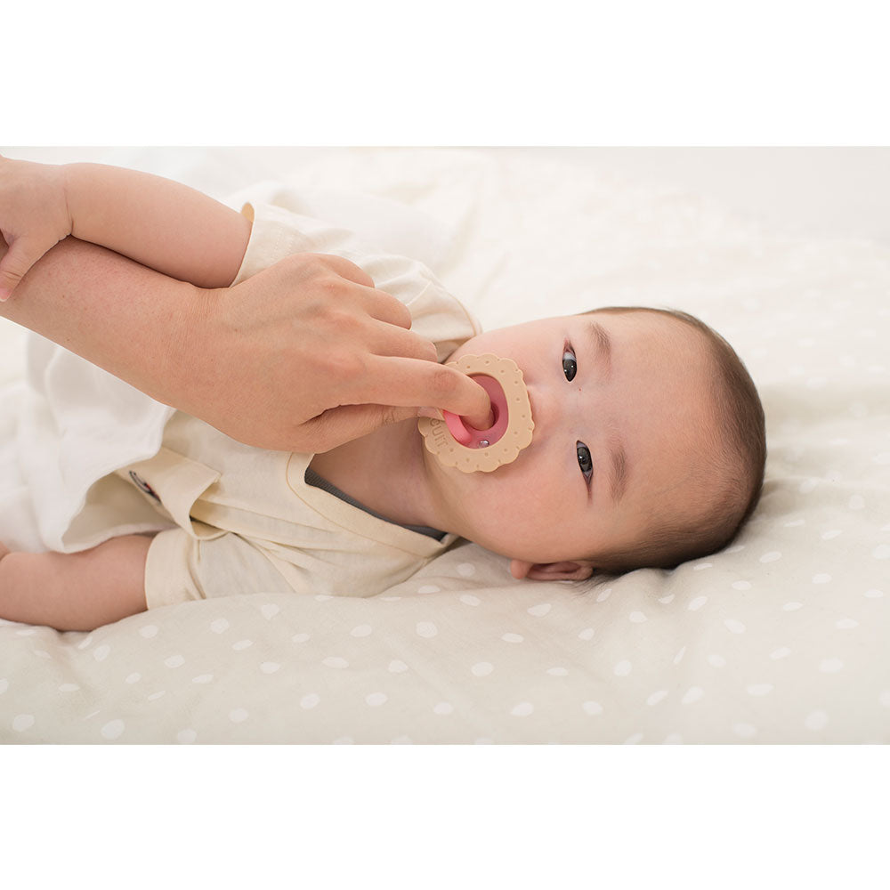 Richell Sucking Lab Pacifier Biscuit for Newborns with Case 1 Piece