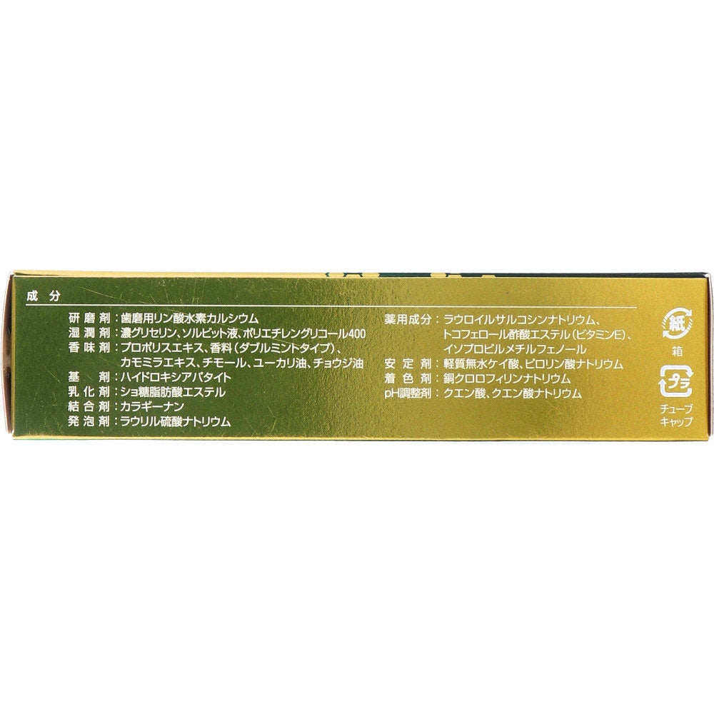 薬用歯みがき ネオセプデント EX 80g 1 個