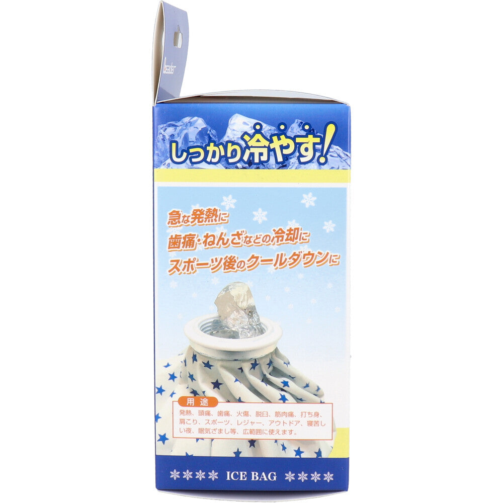 リーダー 発熱スッキリ 氷のう 小さめサイズ 1個入 1 個