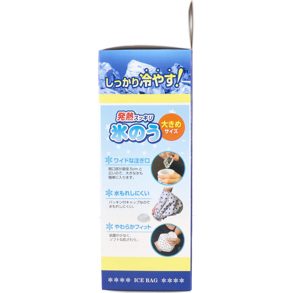 リーダー 発熱スッキリ 氷のう 大きめサイズ 1個入 1 個