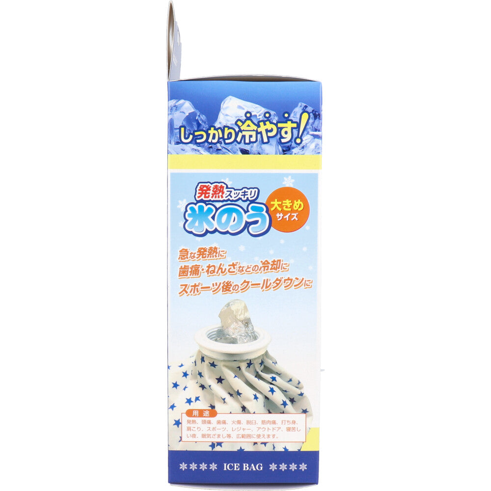 リーダー 発熱スッキリ 氷のう 大きめサイズ 1個入 1 個