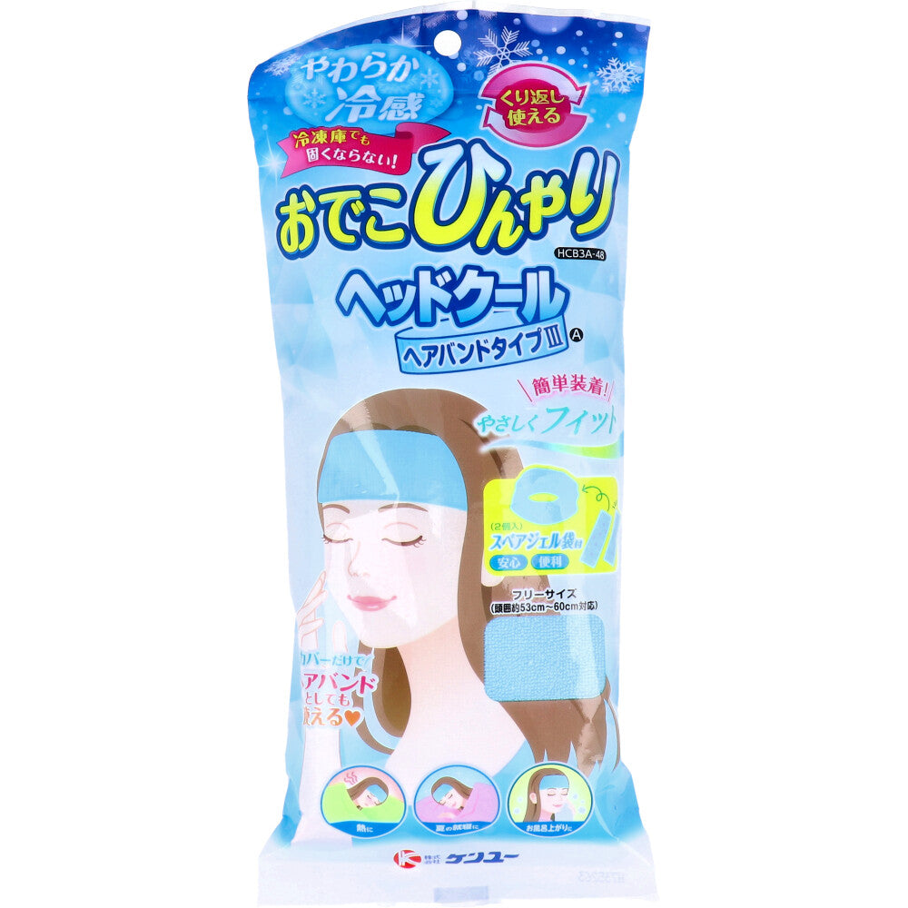 ヘッドクール ヘアバンドタイプ3 A HCB3A-48 1 個