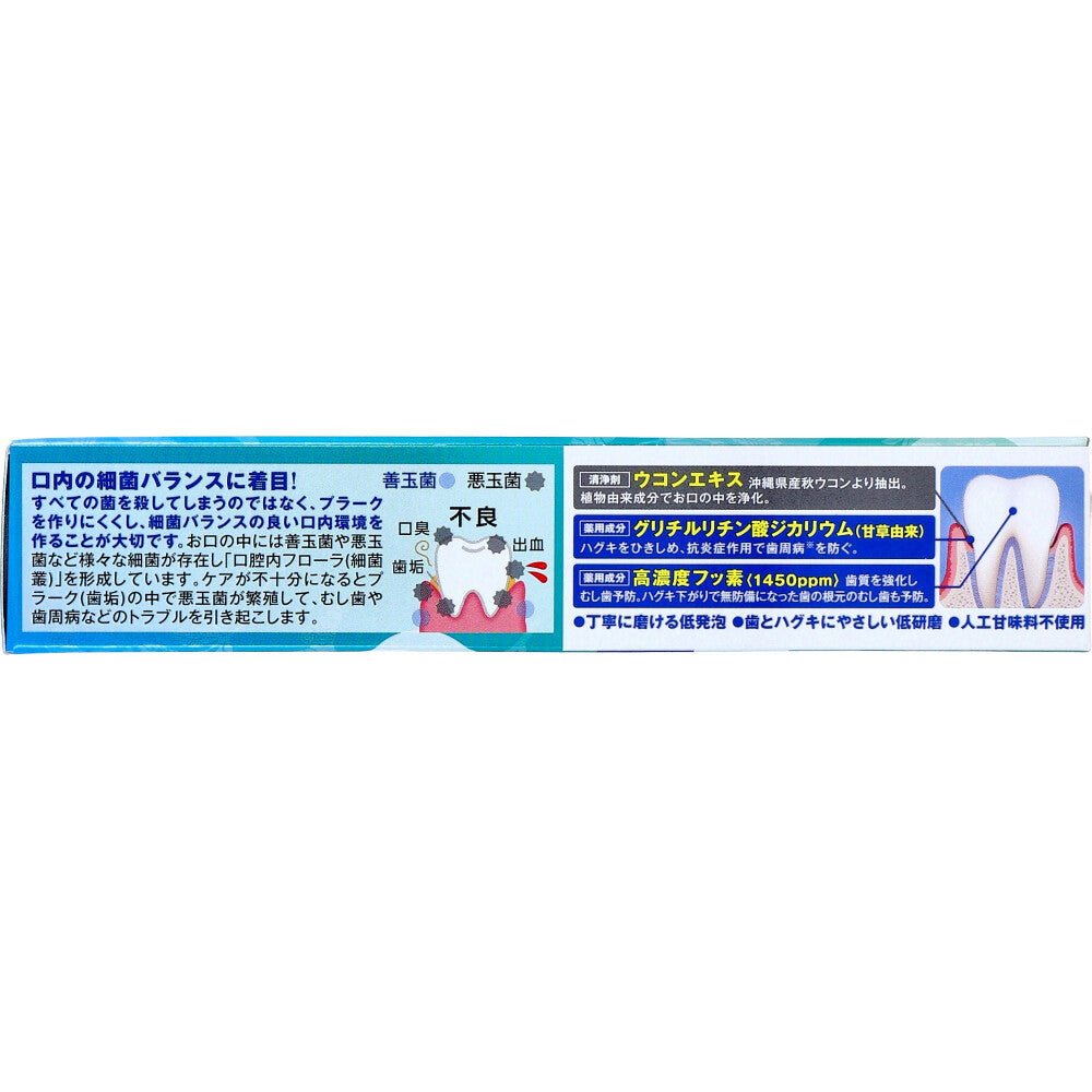 Curculin PG Guard Dental Paste Peppermint Flavor 90g 1 piece