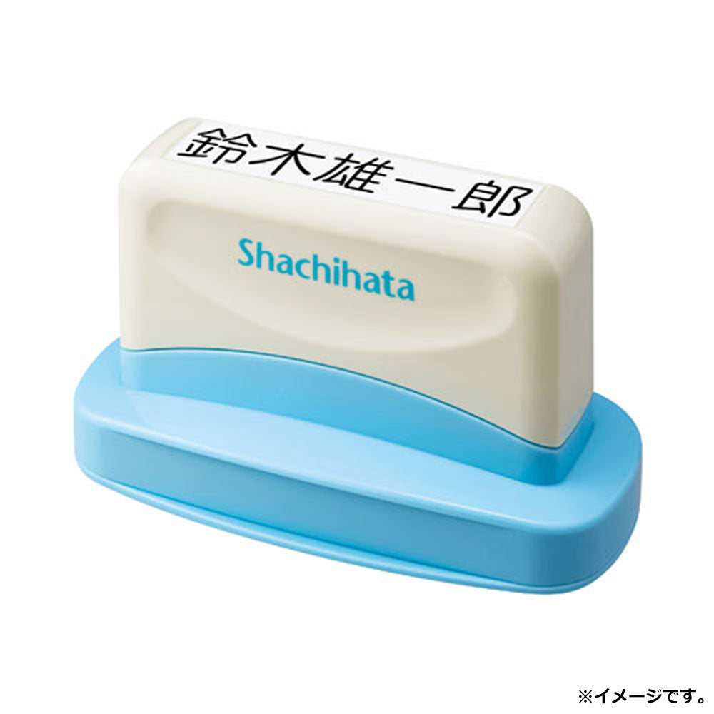 Name Stamp Diaper Pon for Adults, Mail Order Type, 1 pc